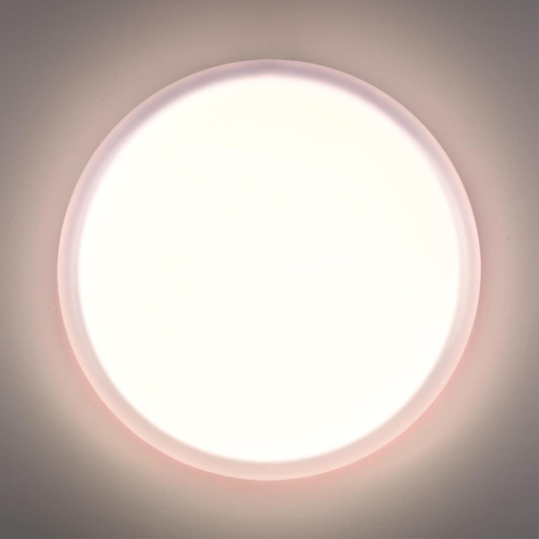 Настенно-потолочный светильник Sonex JOLLY 7776/DLN