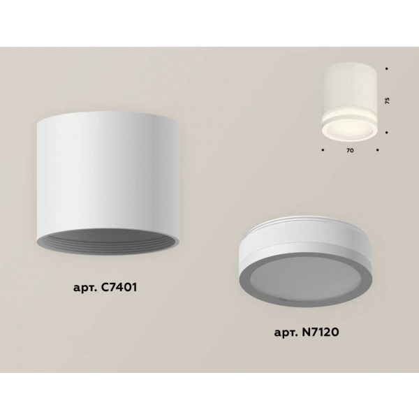 Комплект накладного светильника Ambrella light Techno Spot XS7401041 SWH/FR белый песок/белый матовый (C7401, N7120)
