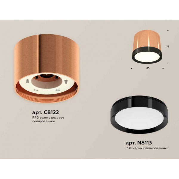 Комплект накладного светильника Ambrella light Techno Spot XS (C8122, N8113) XS8122001