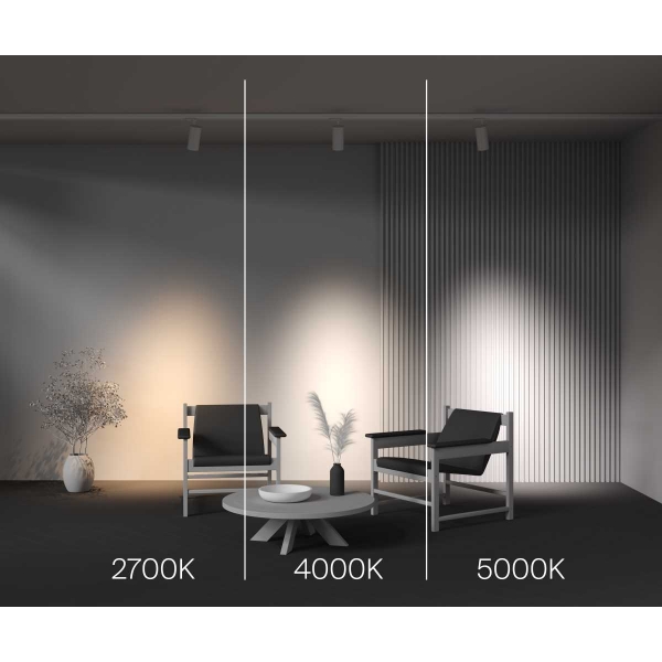 Трековый светильник Maytoni Technical TR197-3-40WCCT-M-W