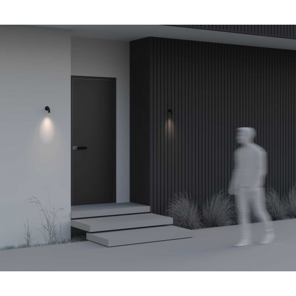 Бра Maytoni Outdoor O477WL-L2GF3K