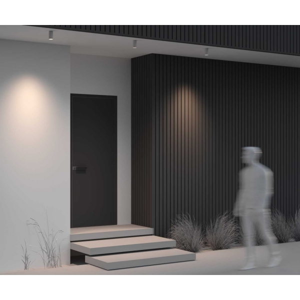 Потолочный светильник Maytoni Outdoor O500CL-L5W3K