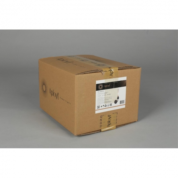 Светильник настенный Aployt Gienia APL.339.01.01