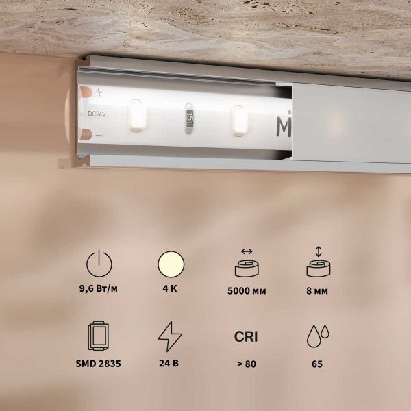 Светодиодная лента Maytoni Led Strip 201181