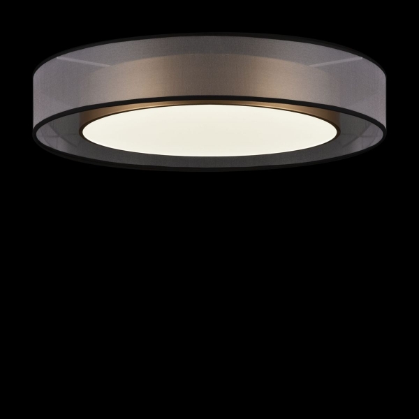 Потолочный светодиодный светильник Freya Zoticus FR6005CL-L48G