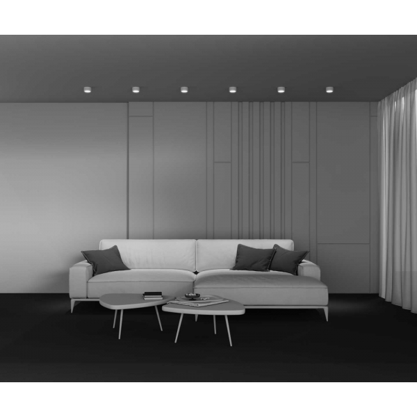 Потолочный светильник Maytoni Technical C001CL-GX53-W