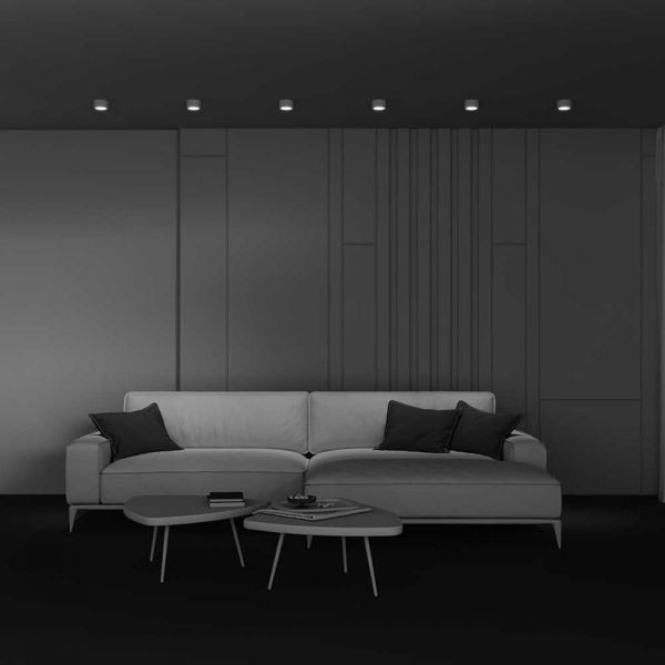 Потолочный светильник Maytoni Technical C001CL-GX53-W