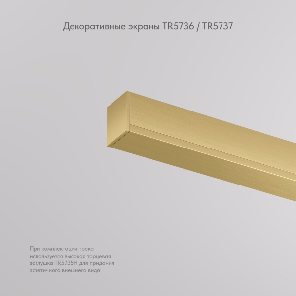 Заглушка Denkirs Shine Base TR5736-SB