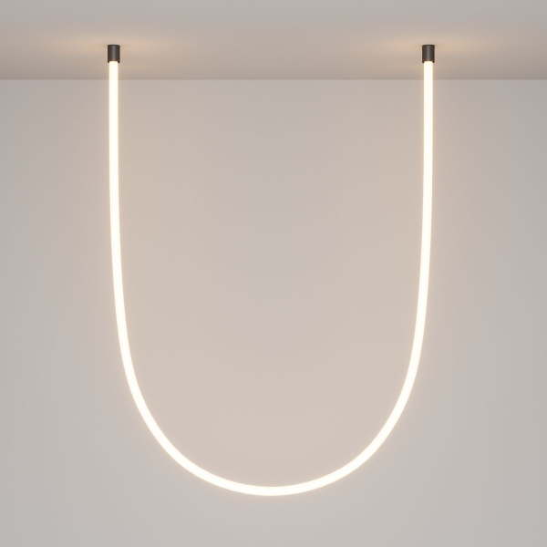 Крепление потолочное Maytoni (2 шт) LNM-D25-2CS-B 20320