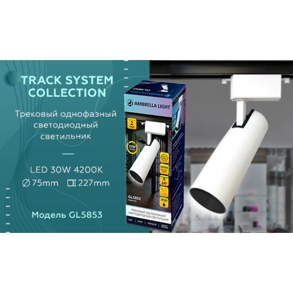 Трековый светодиодный светильник Ambrella light Track System GL5853