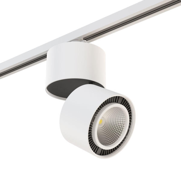 Комплект с трековым светильником Lightstar Forte Muro (592060+213816) A1T213816