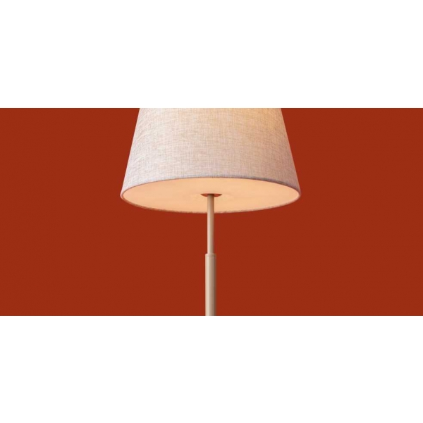 Настольная лампа Freya FR2057TL-01BG