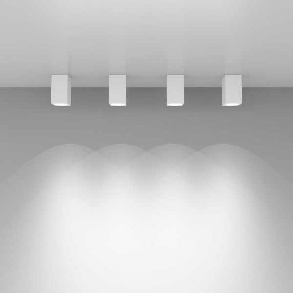 Потолочный светильник Elektrostandard 1085 GU10 WH белый матовый a040989