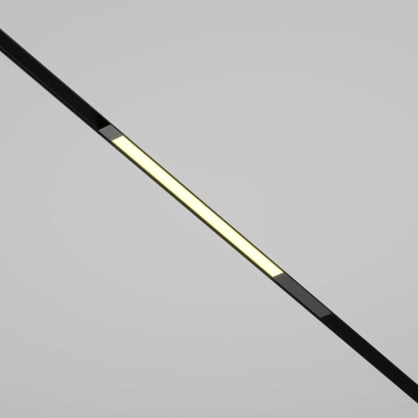 Трековый светильник Maytoni Technical TR231-2-10W3K-B