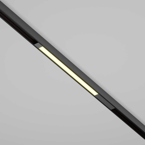 Трековый светильник Maytoni Technical TR231-2-10W3K-B