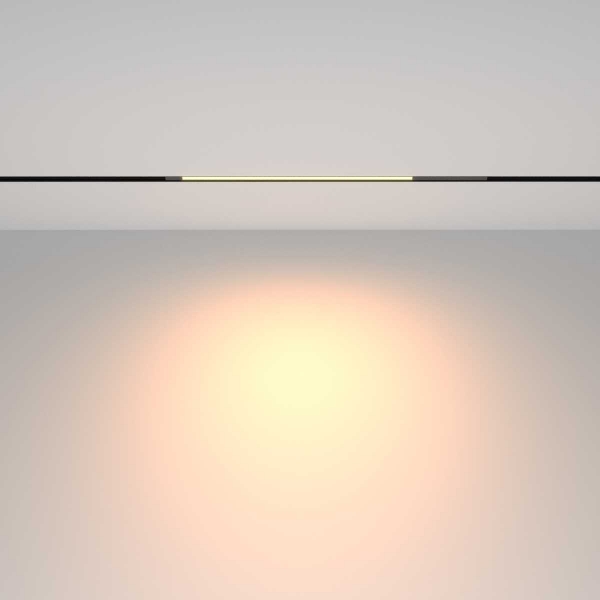 Трековый светильник Maytoni Technical TR231-2-10W3K-B