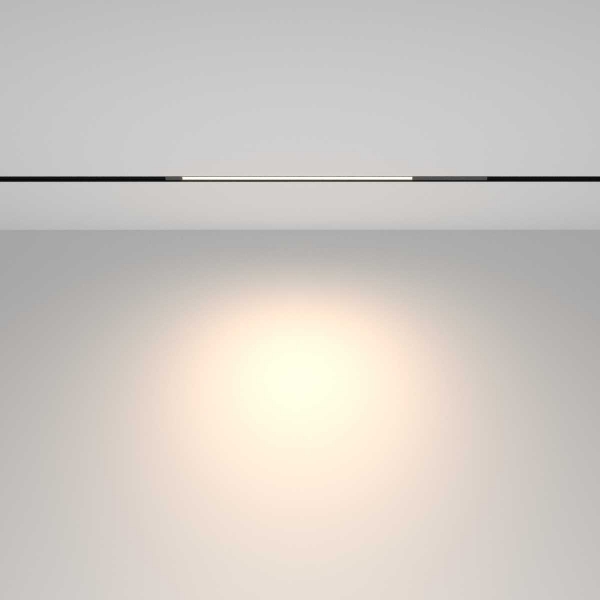 Трековый светильник Maytoni Technical TR231-2-10W4K-B