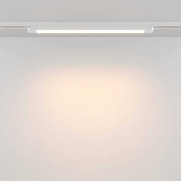 Трековый светильник Maytoni Technical TR000-1-24W3K-W_1