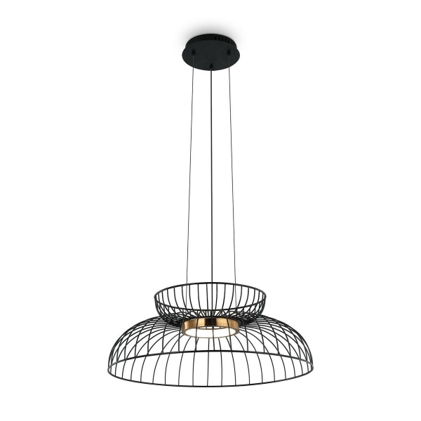 Подвесной светодиодный светильник Freya Citrus FR5398PL-L6B