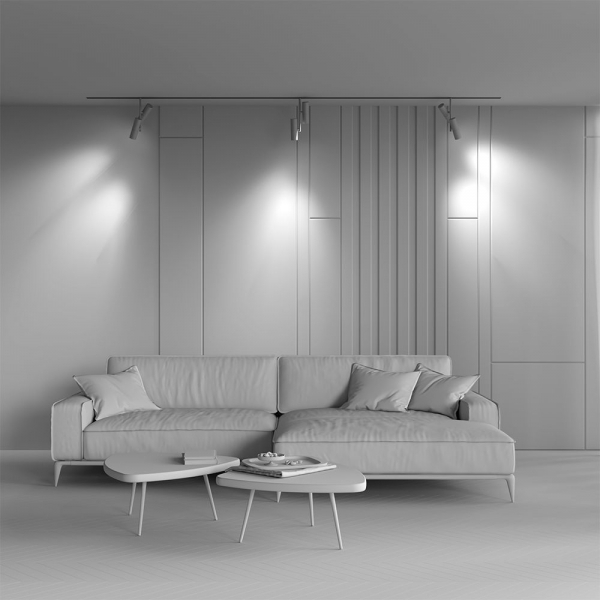 Трековый светодиодный светильник Maytoni Technical Magnetic Exility Elti Duo TR005-4-2X12W-DS-BW