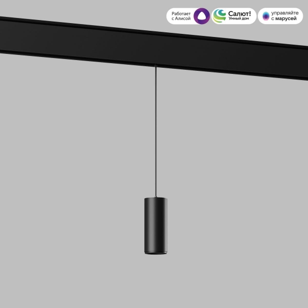 Подвесной трековый светодиодный светильник Elektrostandard (Умный дом) Slim Magnetic Dim Amend 85072/01 черный a063533