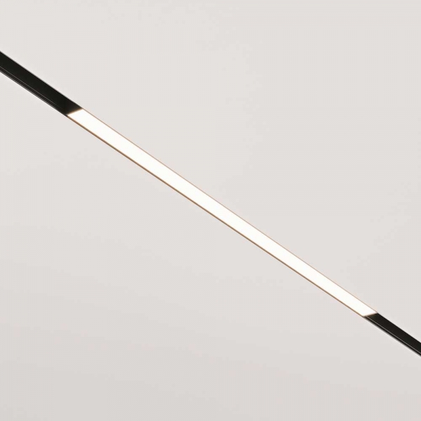 Трековый светодиодный светильник Maytoni Technical Basis TR030-2-24W4K-B