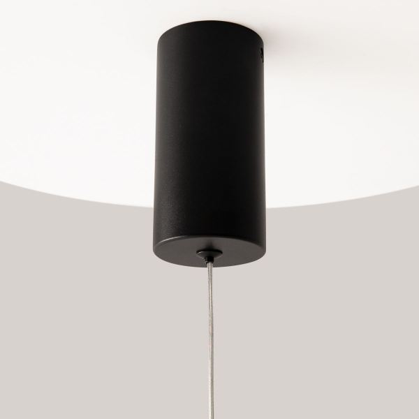 Подвесной светодиодный светильник Maytoni Pro Shade MOD157PL-L6BK