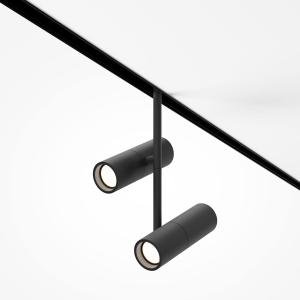 Трековый светодиодный светильник Maytoni Technical Magnetic Exility Elti Duo TR005-4-2X12W-DS-B