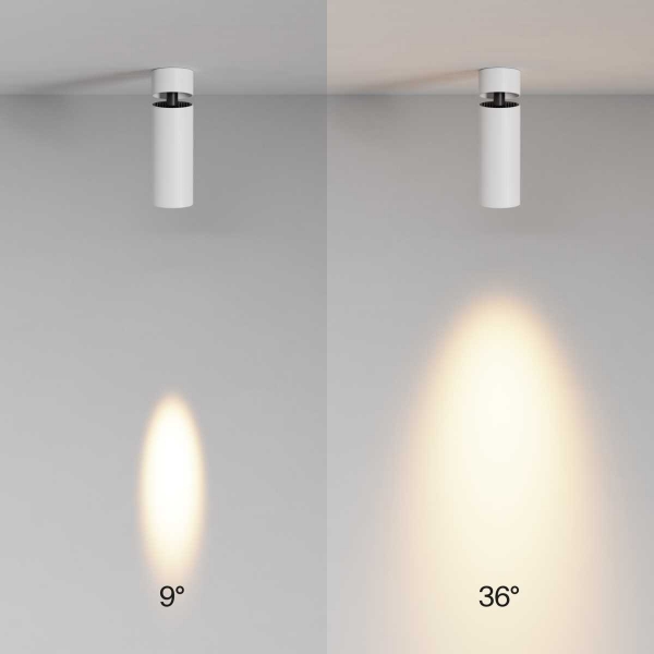 Потолочный светильник Maytoni Technical C055CL-L12W2.7K-SS-W