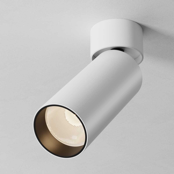 Потолочный светильник Maytoni Technical C055CL-L12W2.7K-SS-W