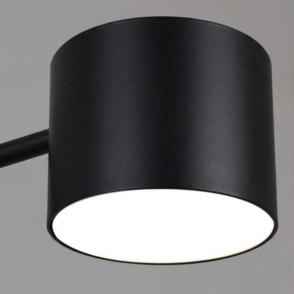 Потолочная люстра Reluce 47206-0.3-06BK