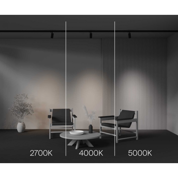 Трековый светодиодный светильник Maytoni Technical Focus Led TR197-3-12WCCT-M-B