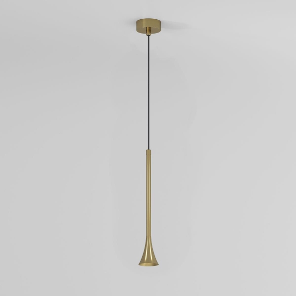 Подвесной светодиодный светильник Elektrostandard Hall 50314 LED a068821