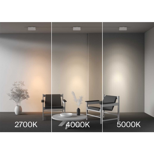 Трековый светильник Maytoni Technical TR223-1-12WCCT-W-W