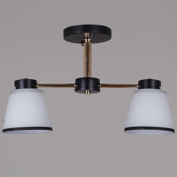 Потолочная люстра Reluce 30560-0.3-02 BK+FG