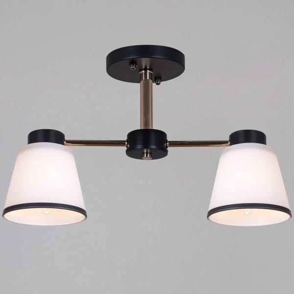 Потолочная люстра Reluce 30560-0.3-02 BK+FG