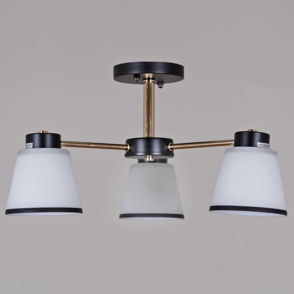 Потолочная люстра Reluce 30560-0.3-03 BK+FG