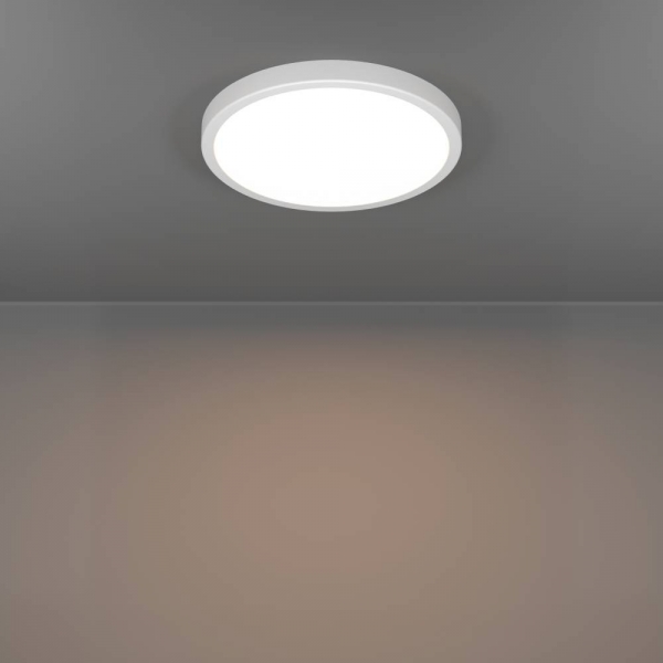 Настенно-потолочный светильник Eglo Fueva 6 901334