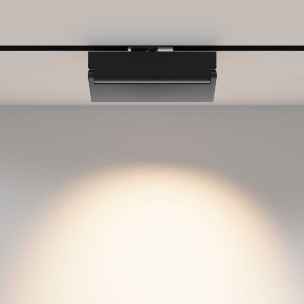 Трековый светильник Maytoni Technical TR224-1-12WCCT-M-B