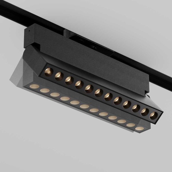 Трековый светильник Maytoni Technical TR224-1-12WCCT-M-B