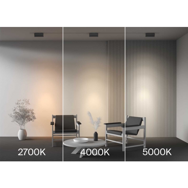 Трековый светильник Maytoni Technical TR224-1-12WCCT-M-B