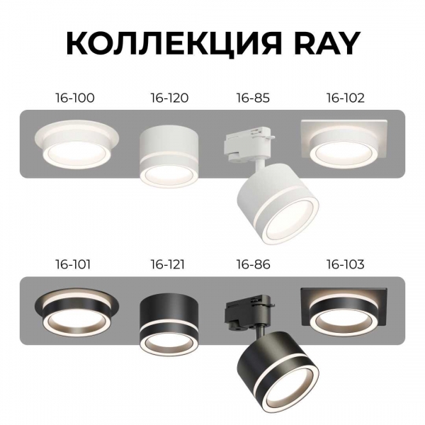 Точечный светильник Apeyron Ray 16-100