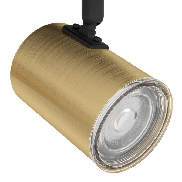 Спот Eglo Consuma 1 300586