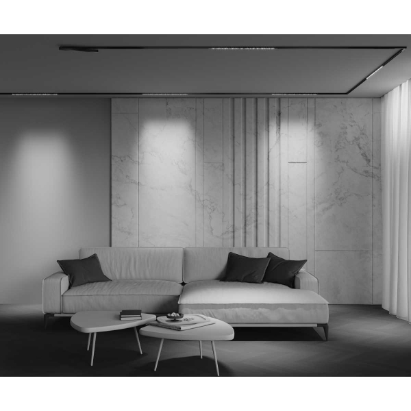 Трековый светильник Maytoni Technical EXILITY X Points TR241-2-12W4K-B