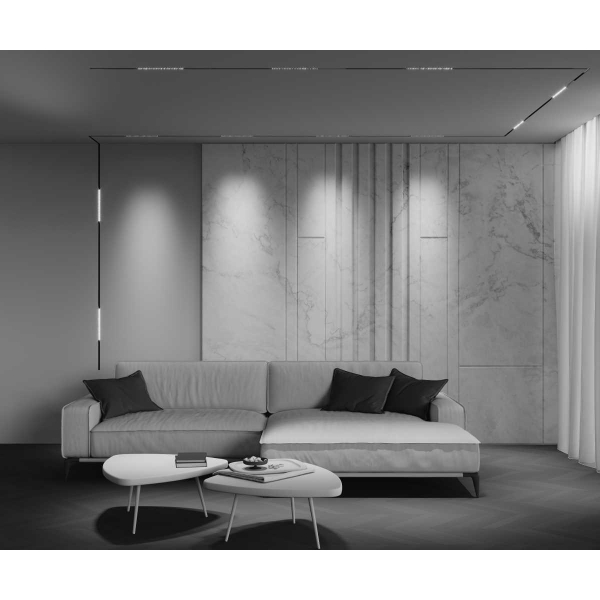 Трековый светильник Maytoni Technical EXILITY X Points TR241-4-12WTW-DD2-B