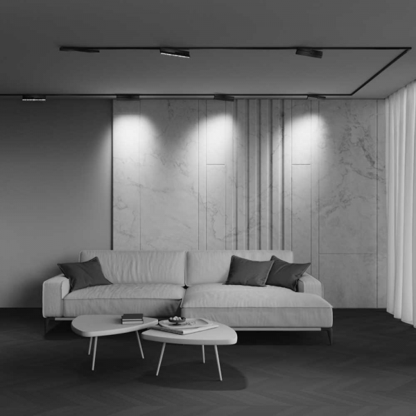 Трековый светильник Maytoni Technical EXILITY X Points Rot TR242-2-12W4K-B