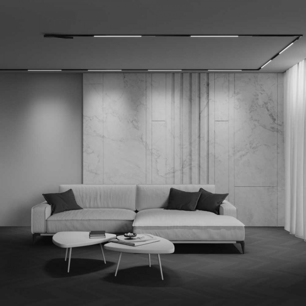 Трековый светильник Maytoni Technical EXILITY X Basis TR240-4-12WTW-DD2-B