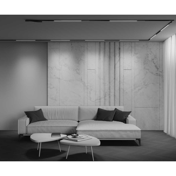 Трековый светильник Maytoni Technical EXILITY X Basis TR240-4-12WTW-DD2-B