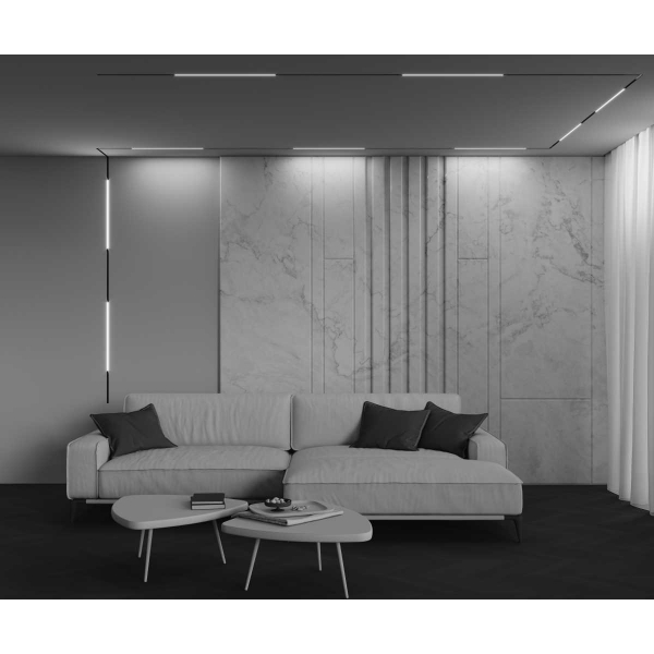 Трековый светильник Maytoni Technical EXILITY X Basis TR240-2-12W4K-B