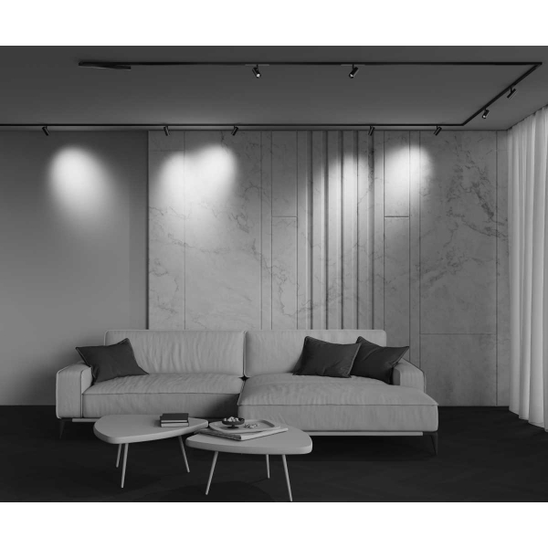Трековый светильник Maytoni Technical EXILITY X Focus Led TR243-4-5WTW-DD2-B